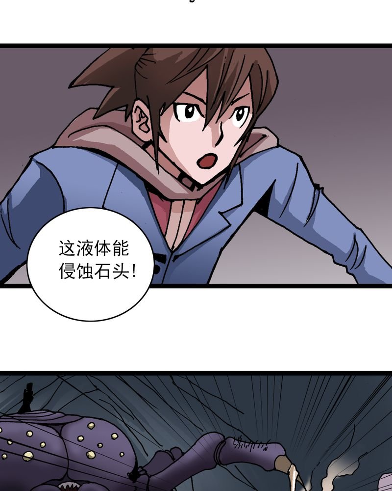 第25章：蜘蛛与蛤蟆
