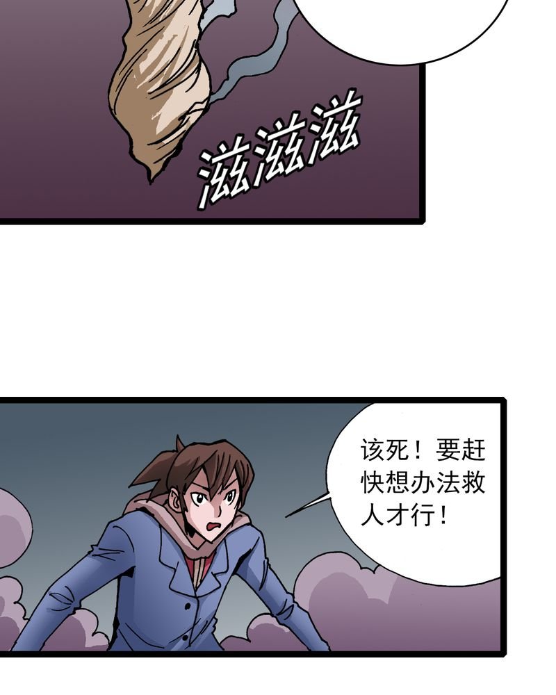第25章：蜘蛛与蛤蟆