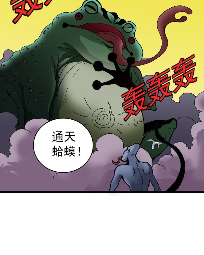 第25章：蜘蛛与蛤蟆
