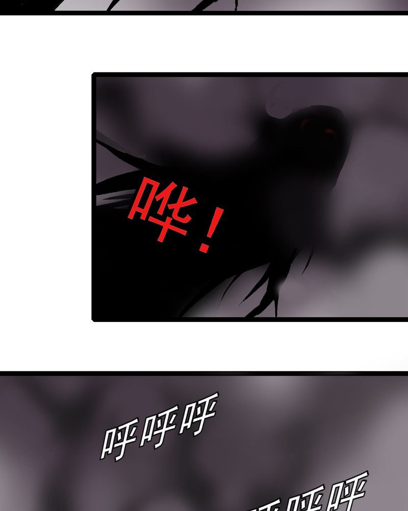 第27章：是女的？