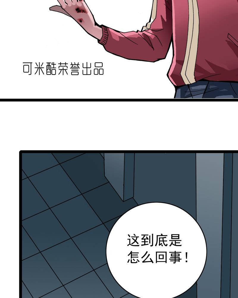 第33章：小心猴子