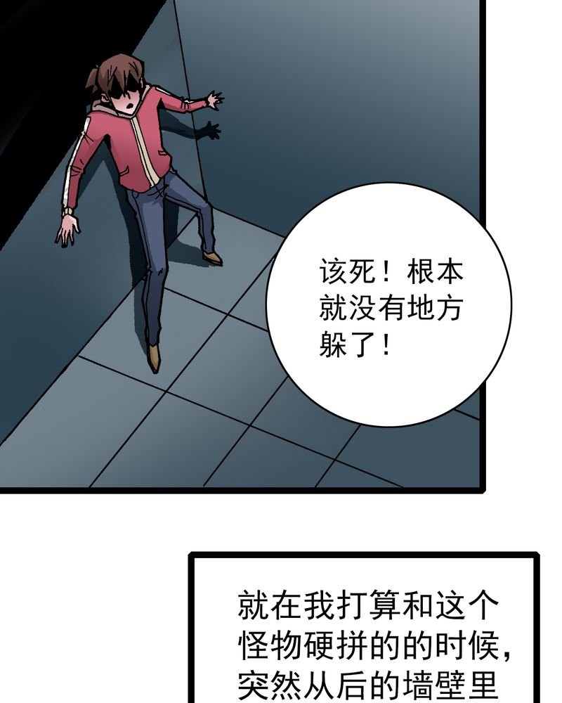 第33章：小心猴子