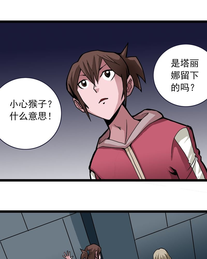 第33章：小心猴子