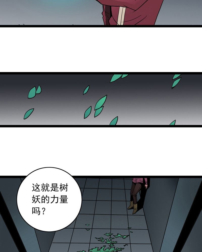 第38章：墓室的秘密