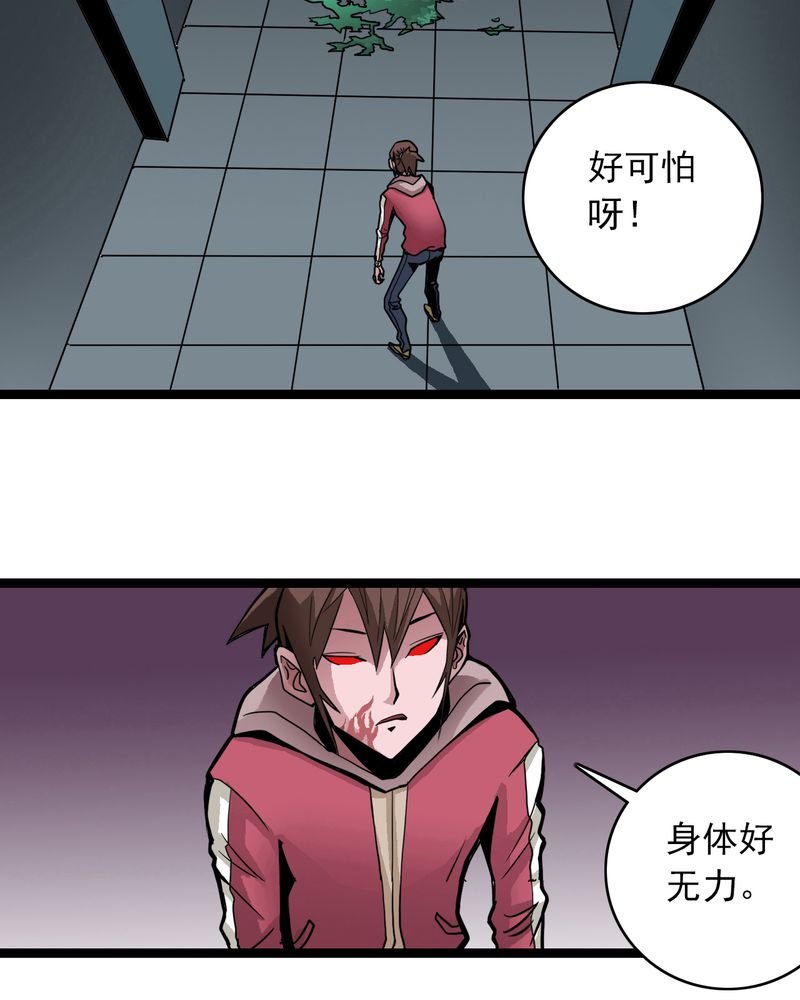 第38章：墓室的秘密