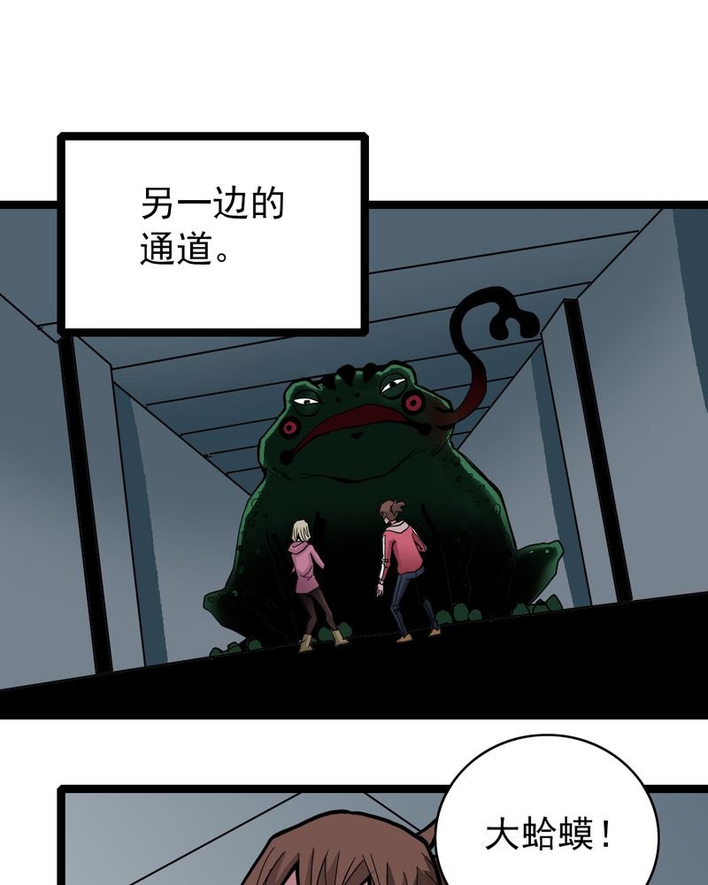 第40章：出口
