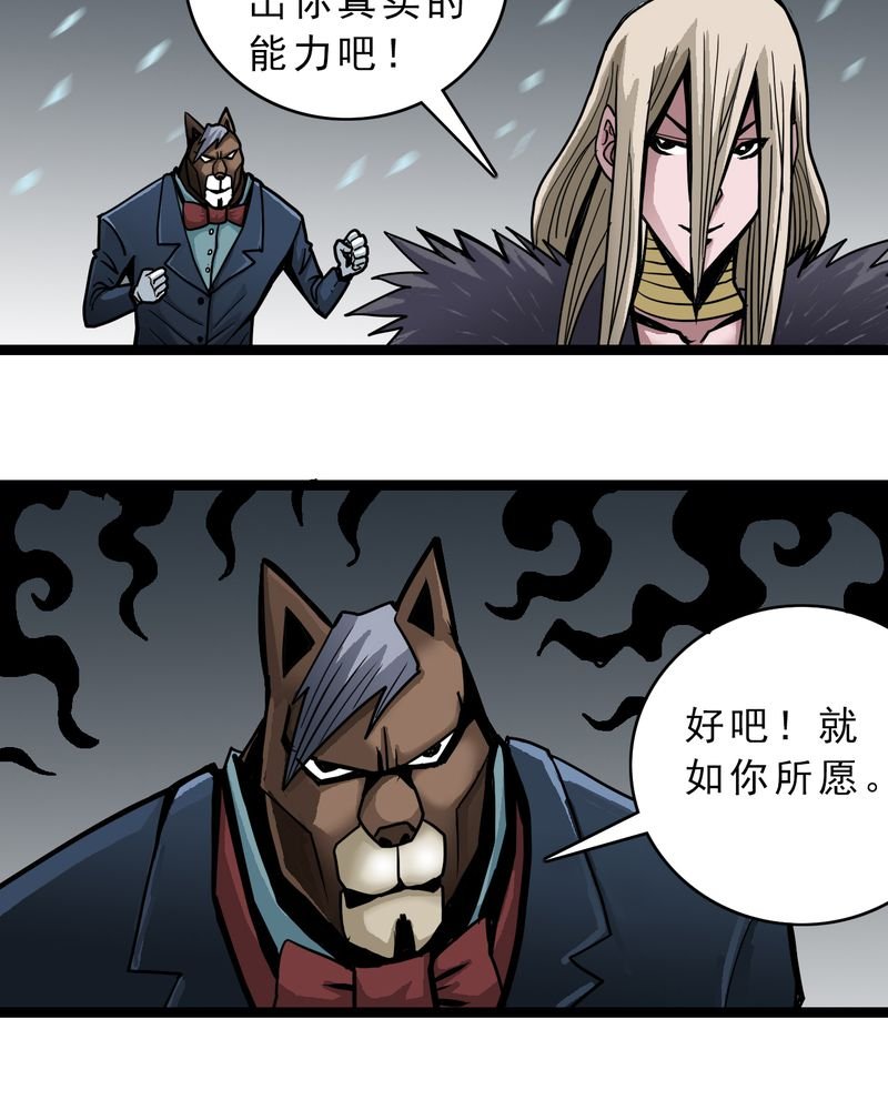 第45章：真实的能力