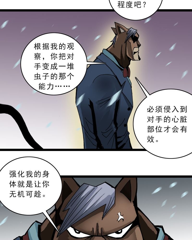 第45章：真实的能力