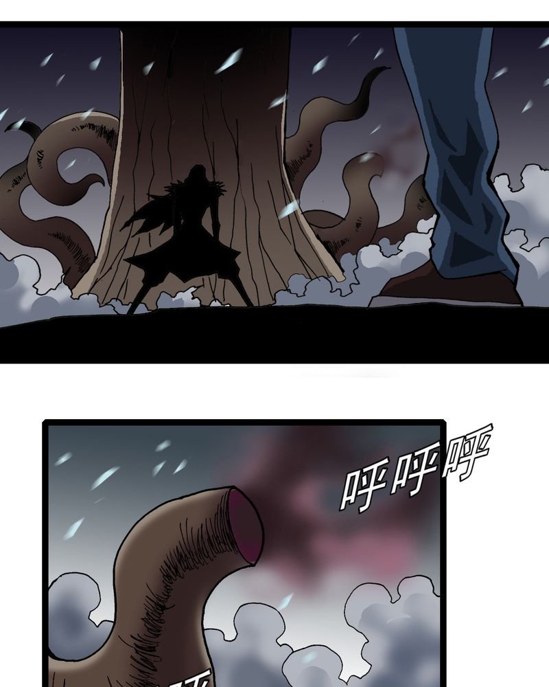 第45章：真实的能力