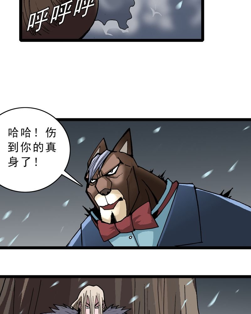 第45章：真实的能力