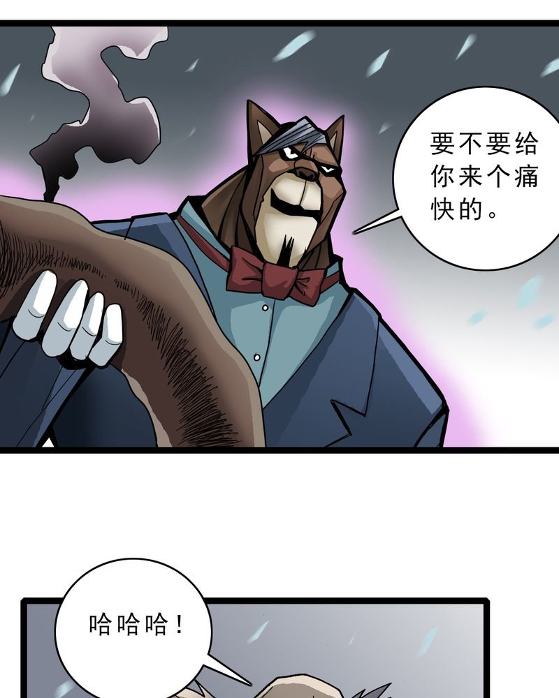 第46章：暗行者