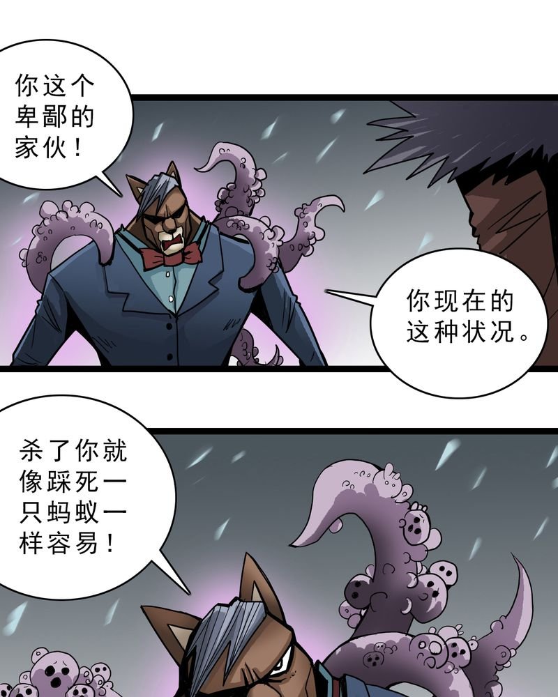 第46章：暗行者
