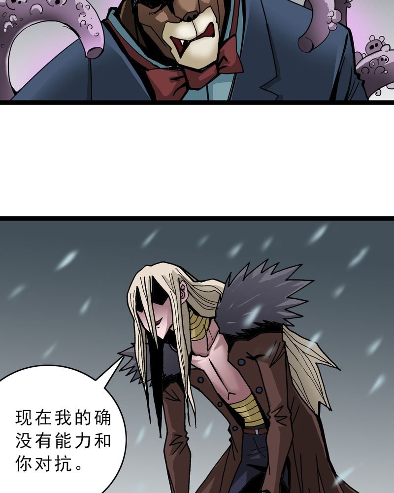 第46章：暗行者