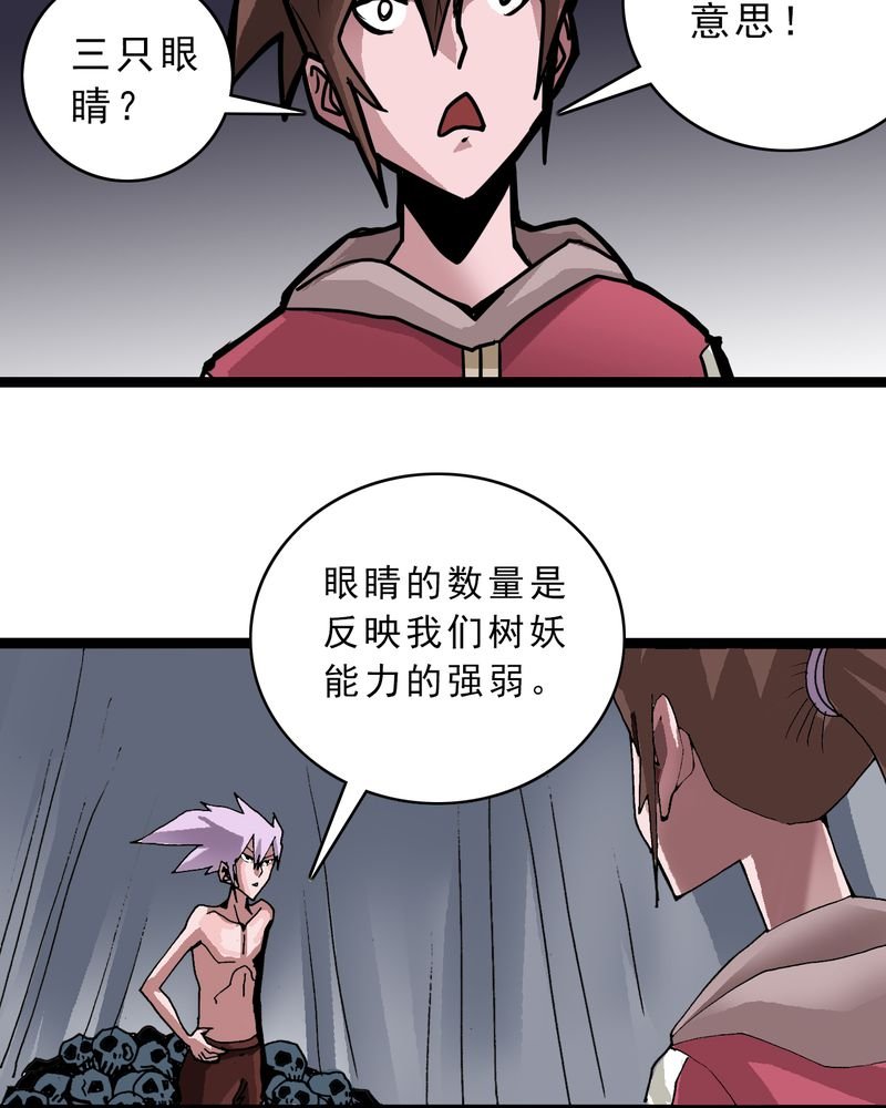 第48章：三只眼睛和镜子