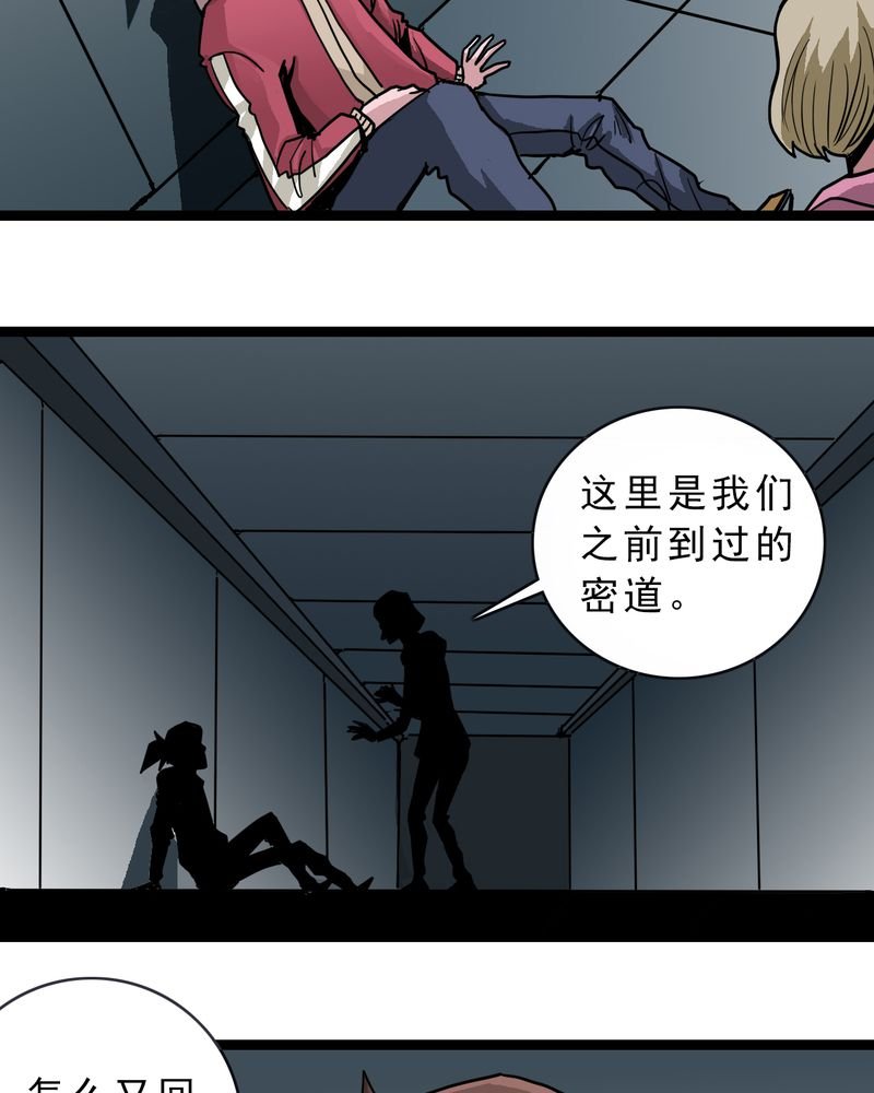 第48章：三只眼睛和镜子
