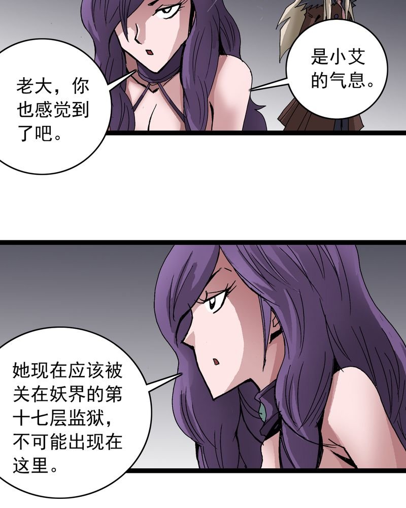 第62章：同伴