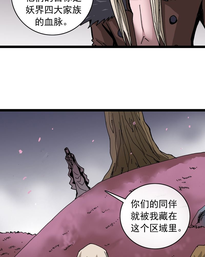 第62章：同伴