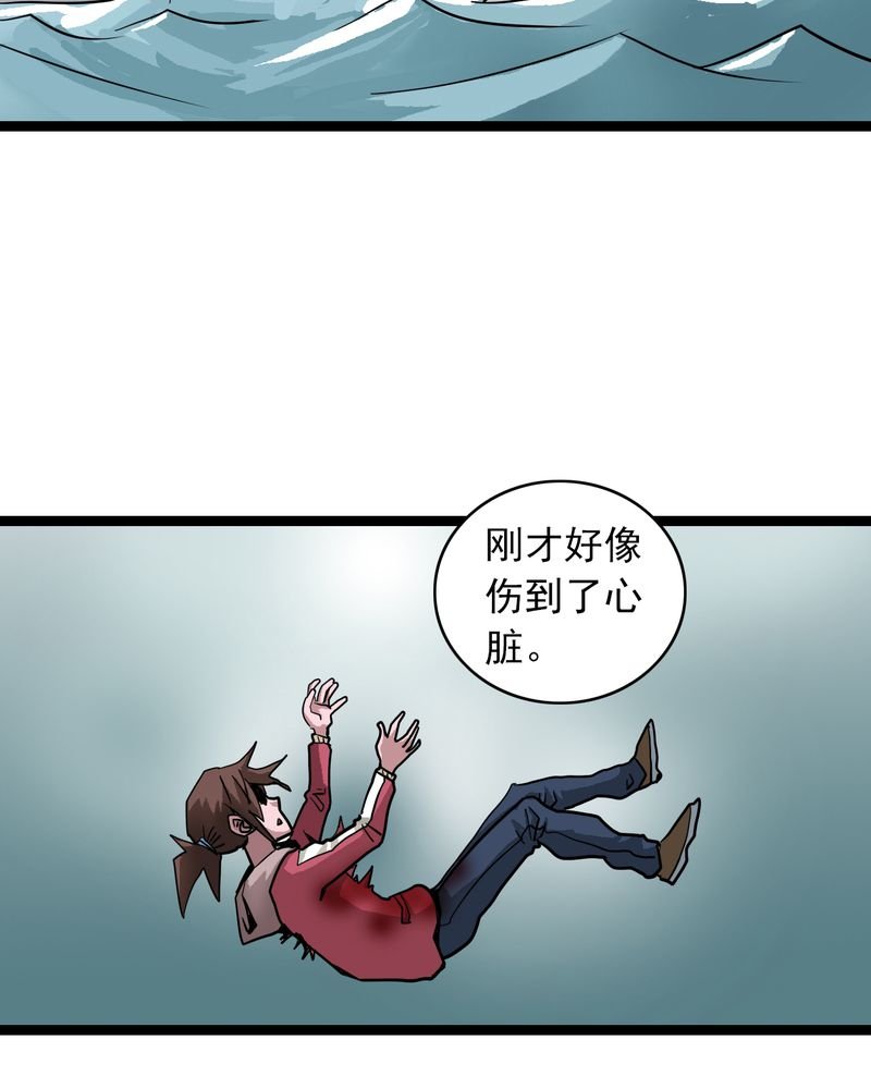 第66章：密谋