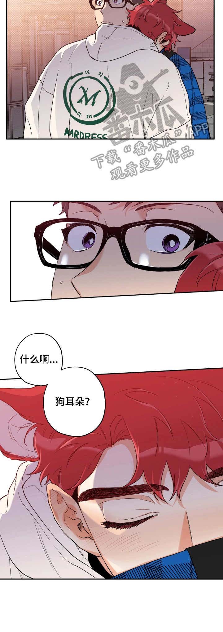 第11章：耳朵