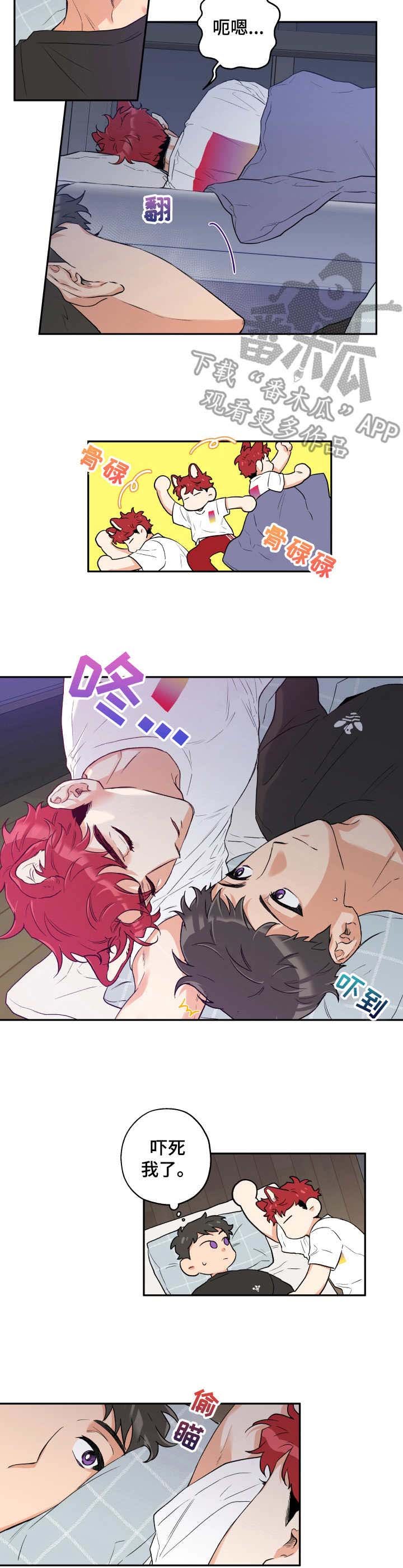 第13章：送回家