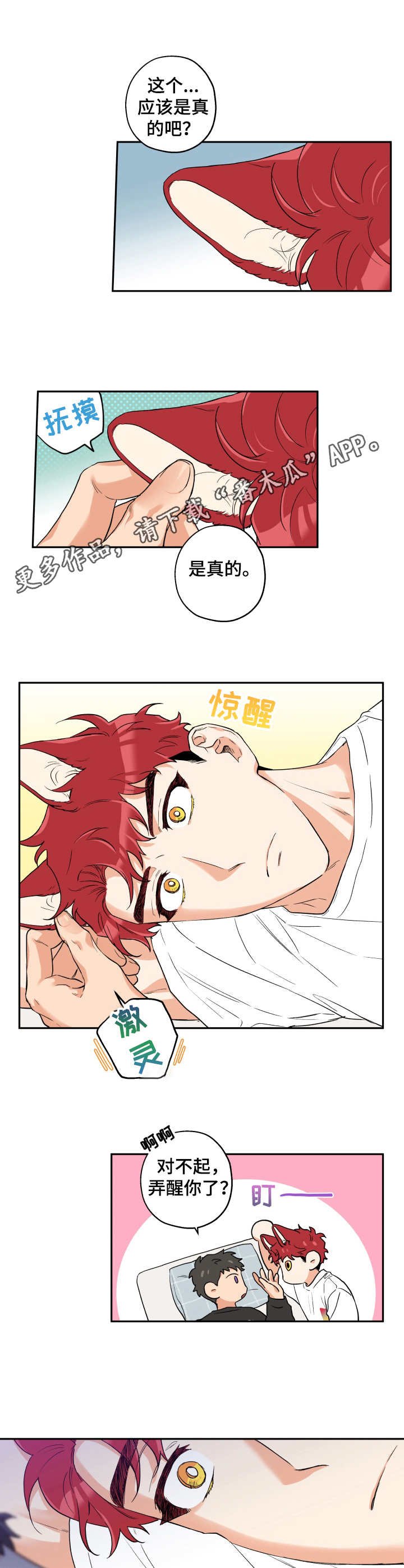 第13章：送回家