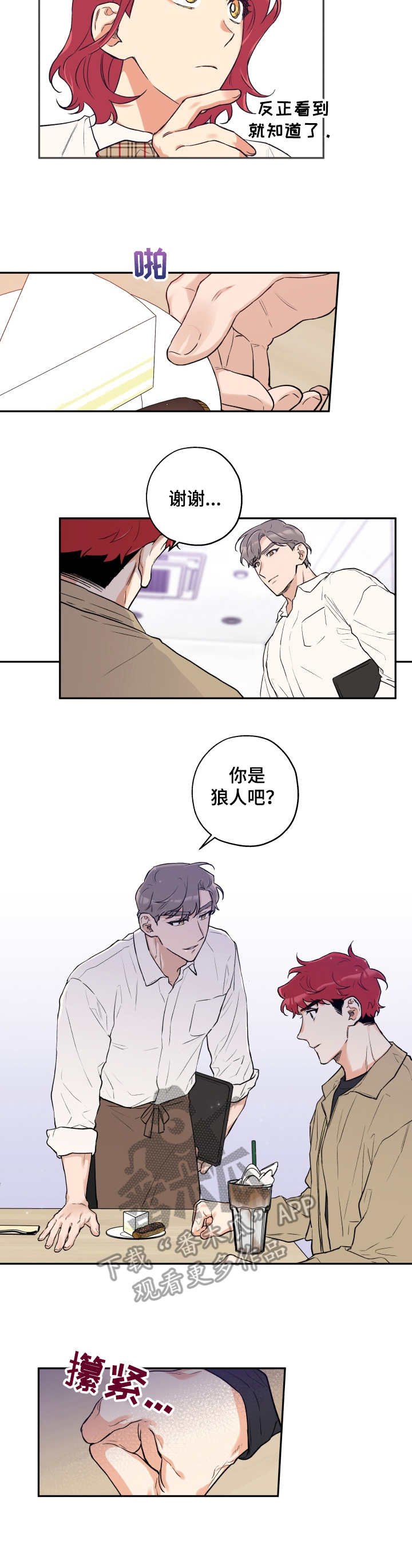 第16章：同类