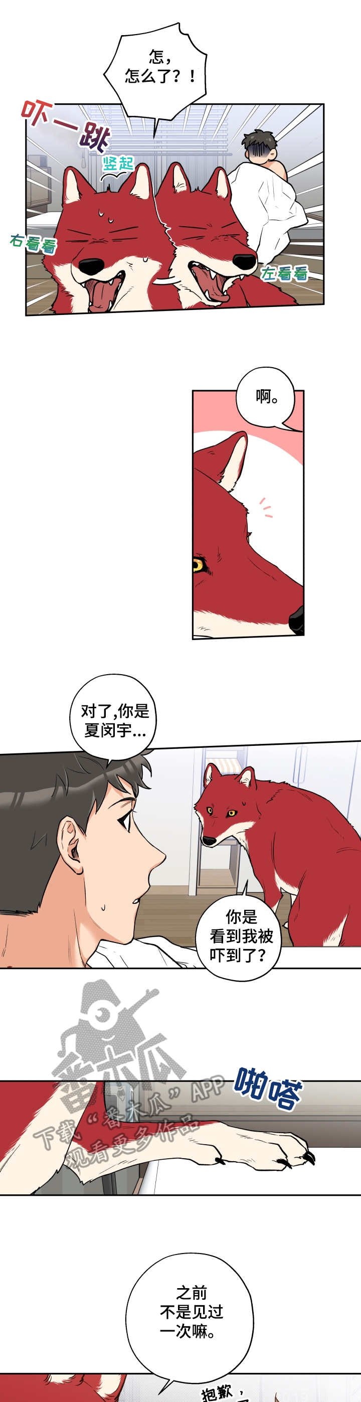 第18章：换眼镜