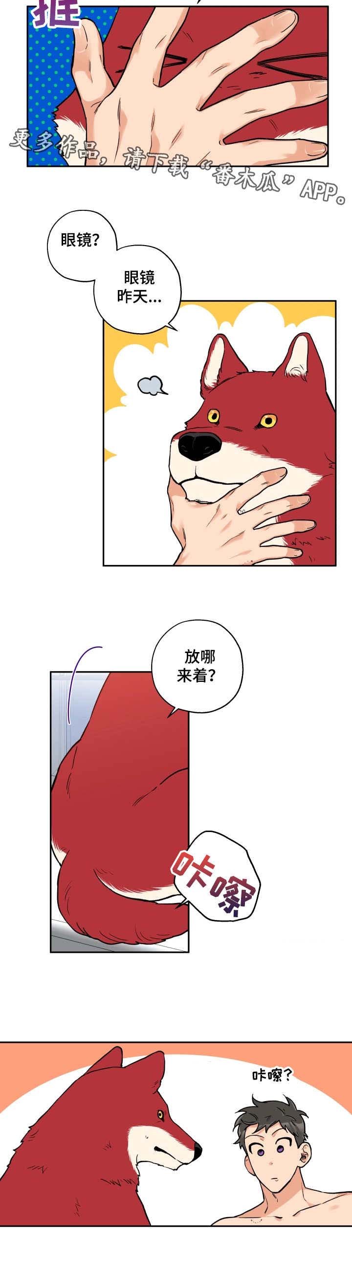 第18章：换眼镜