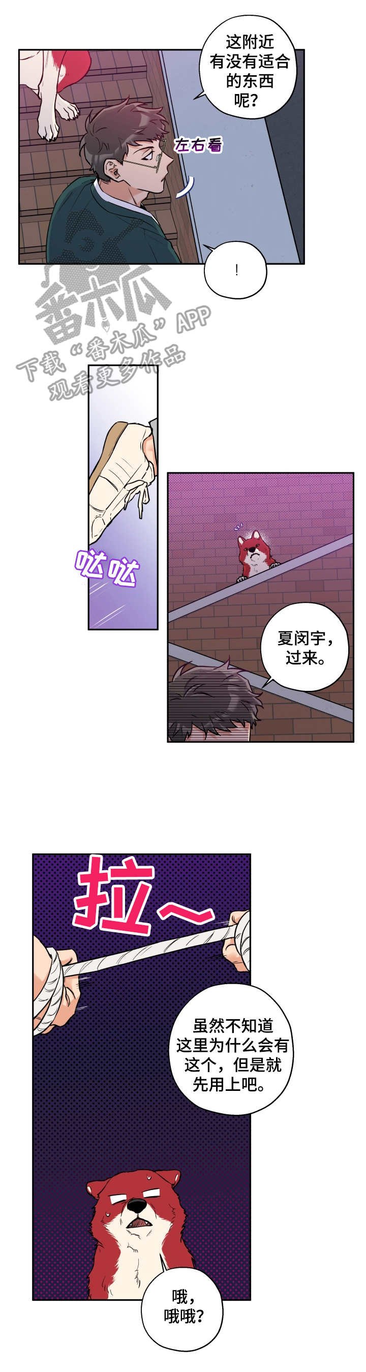 第28章：打掩护