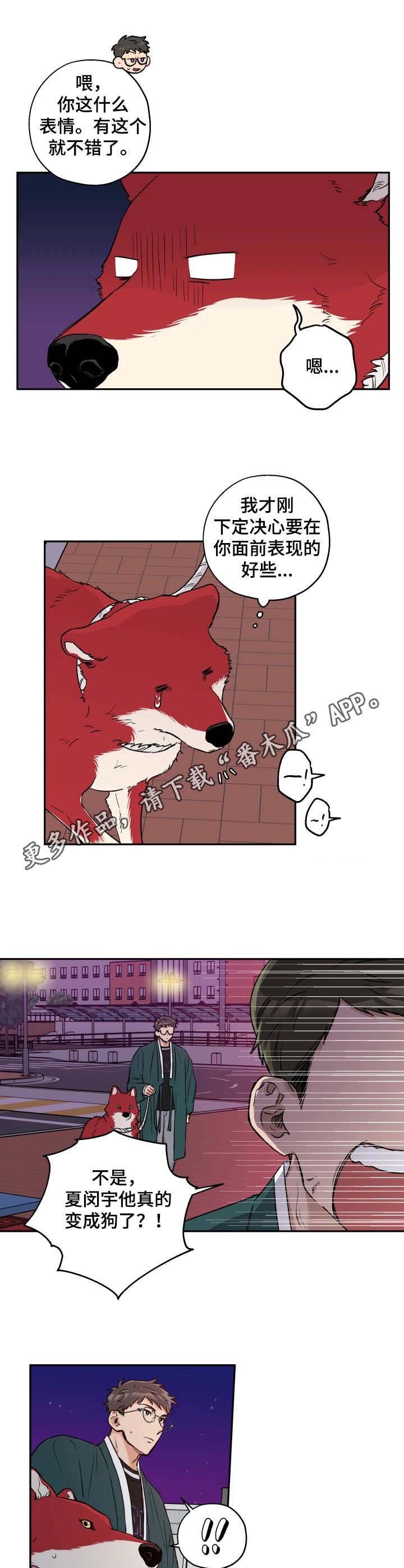 第28章：打掩护