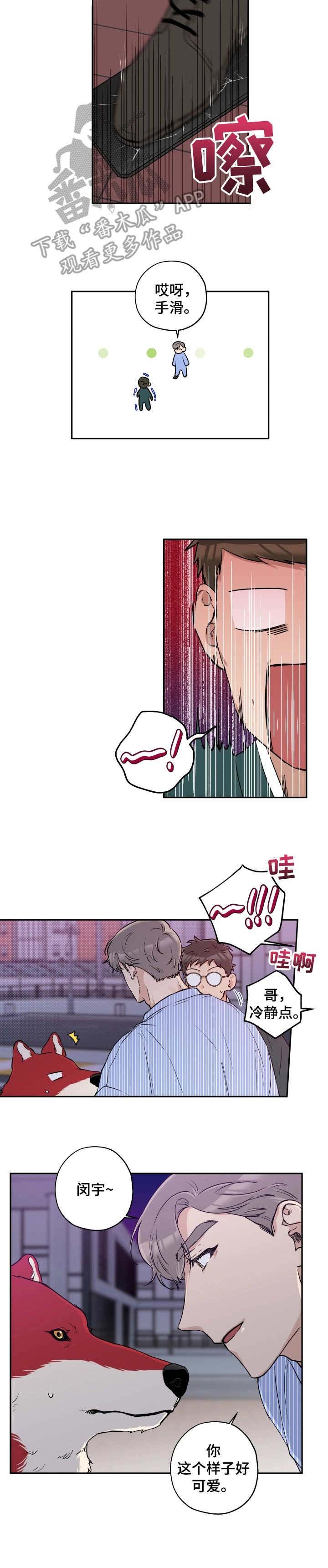 第28章：打掩护