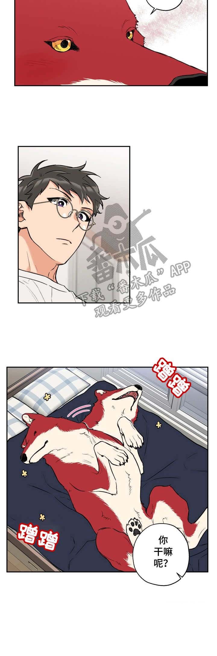 第29章：滚来滚去
