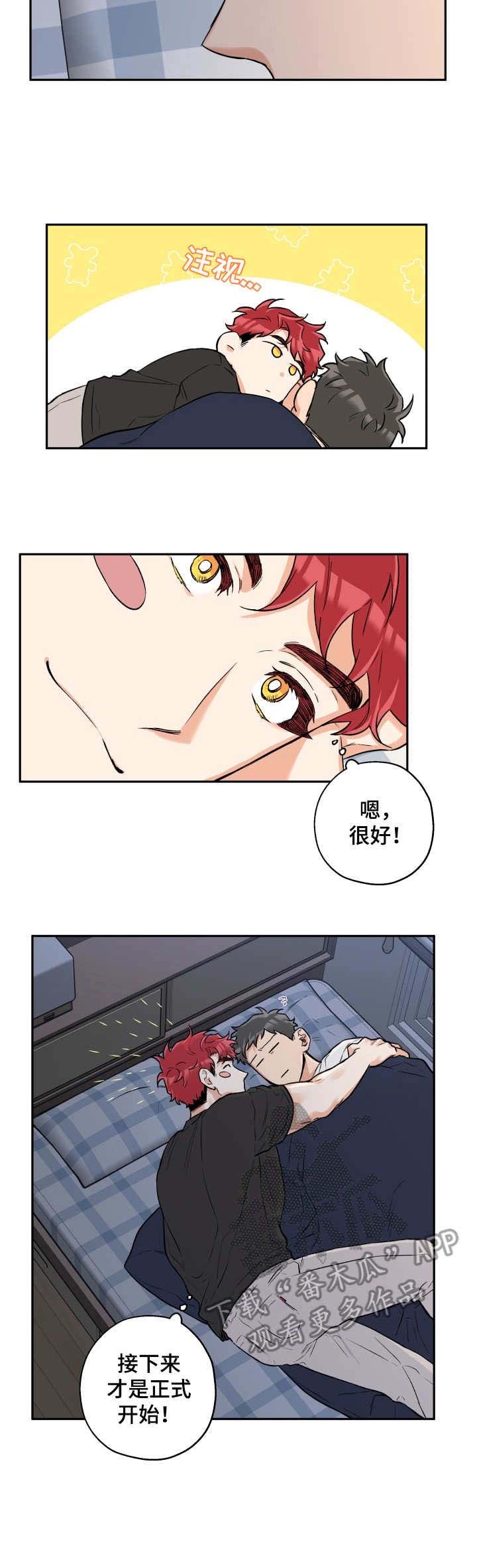 第30章：正式开始