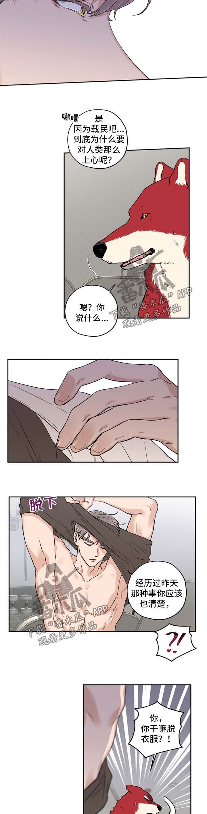 第32章：不如我们俩试试