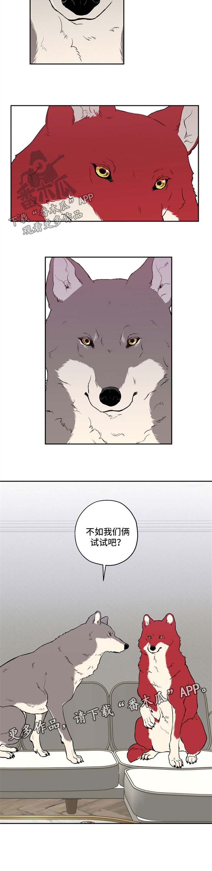 第32章：不如我们俩试试