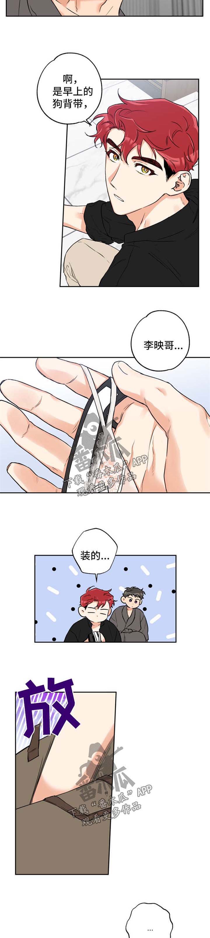 第35章：惊喜