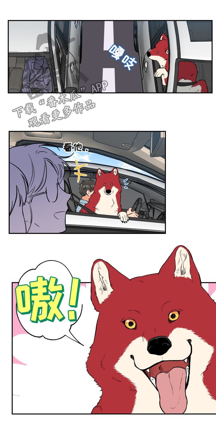 第50章：没那么糟糕
