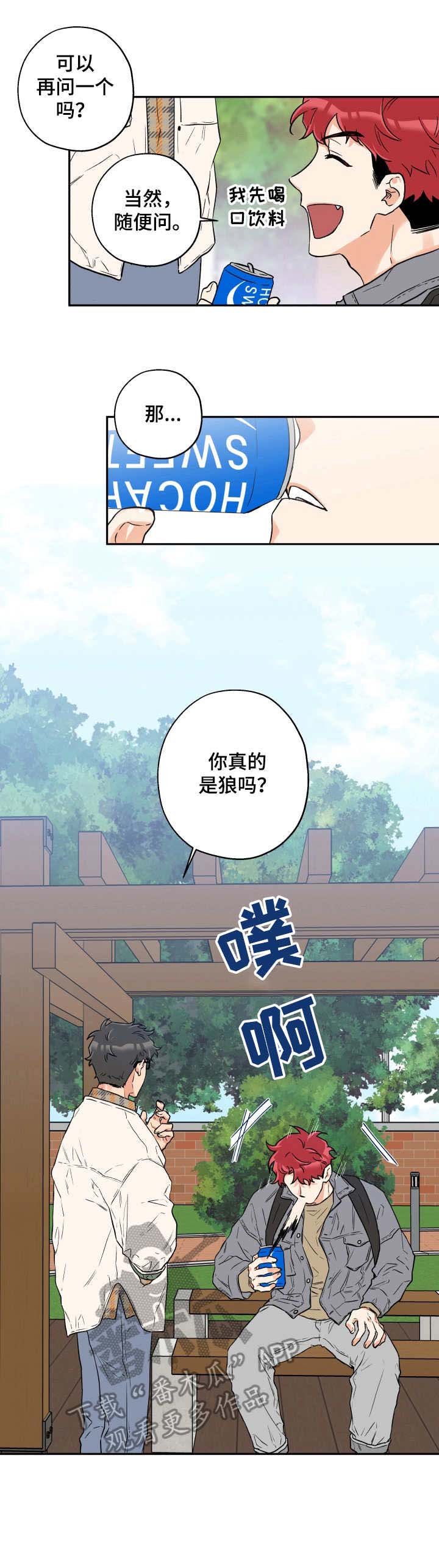 第6章：询问