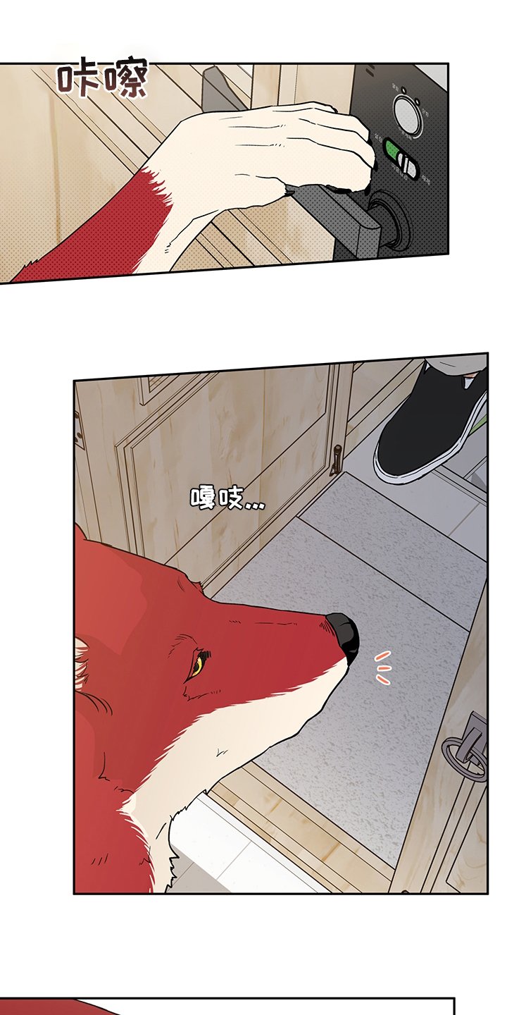 第82章：出去走走吧