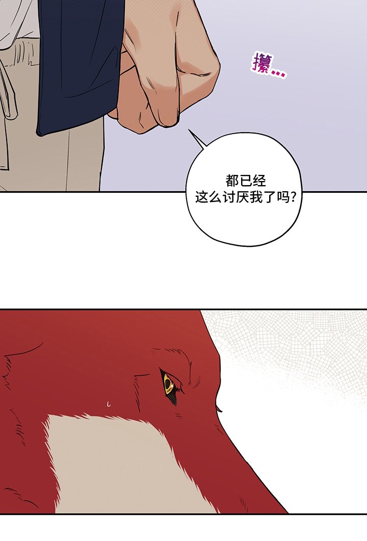 第82章：出去走走吧