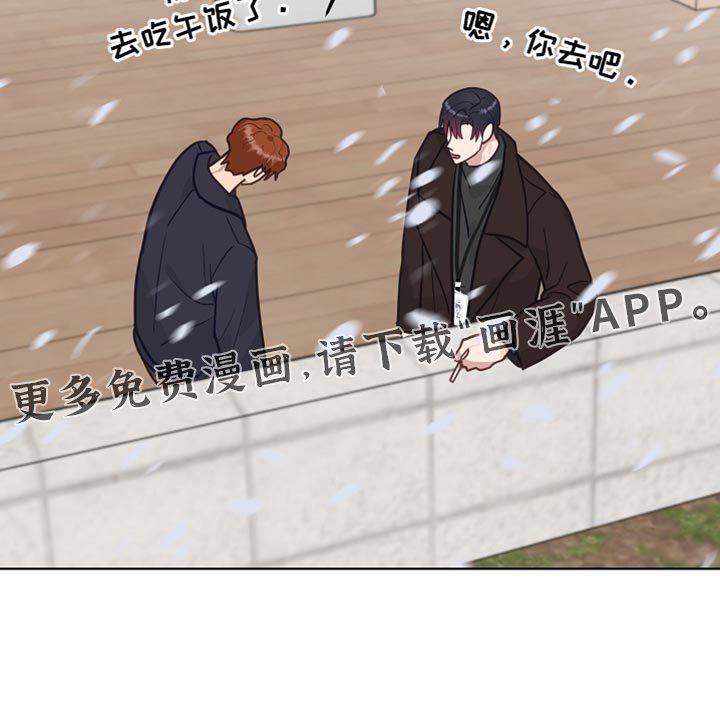 第53章：【第二季】你别太卖力工作