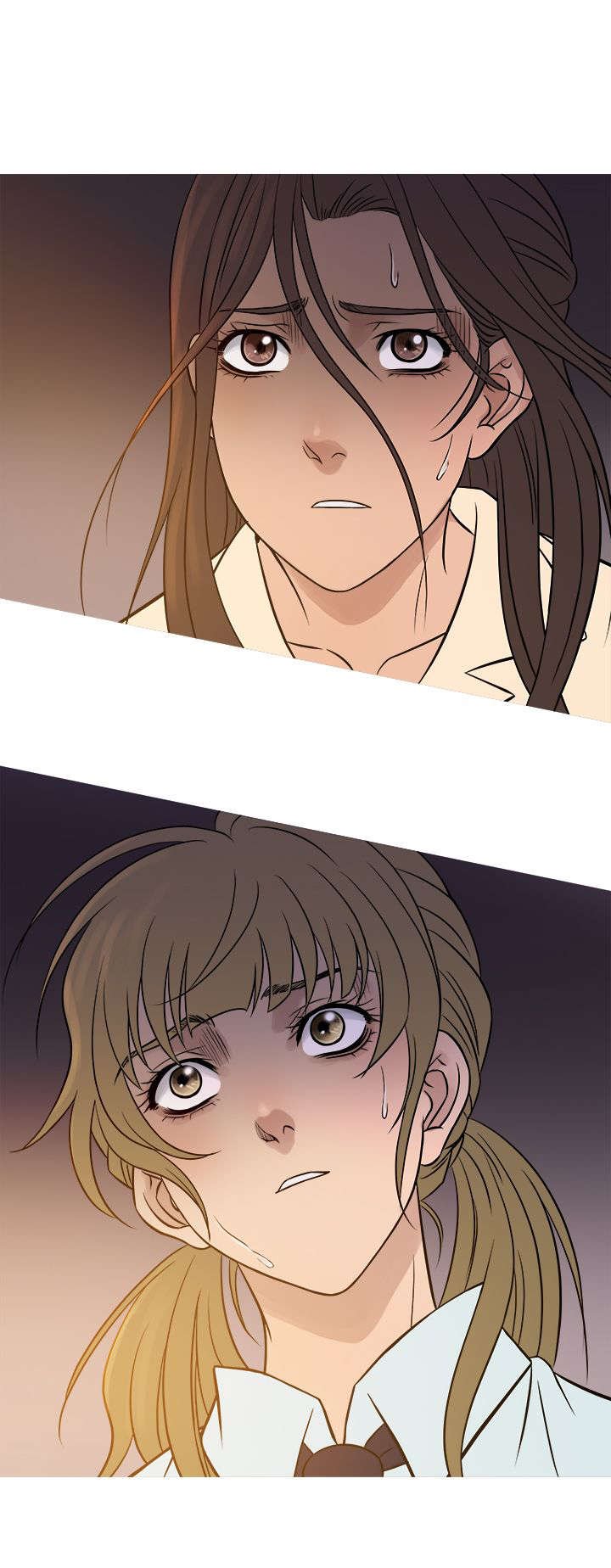 第46章：相见