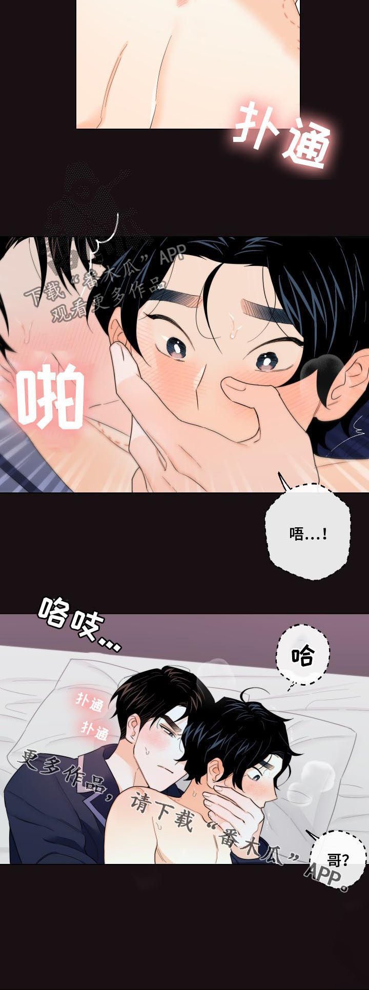 第40章：回来了