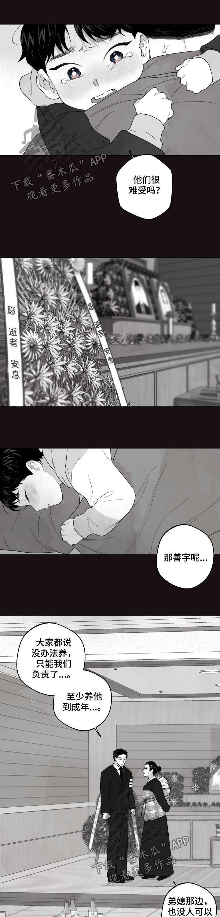 第41章：你才是疯子