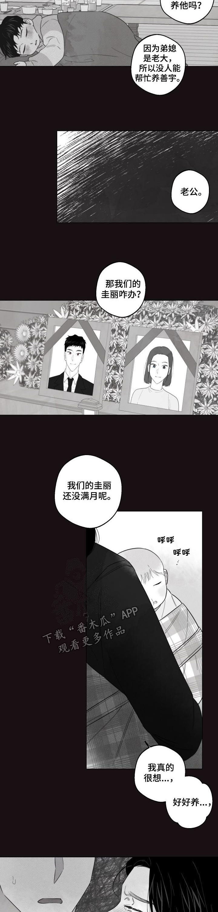 第41章：你才是疯子