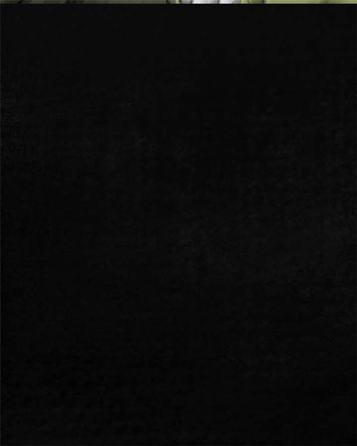 第13章：大将军到此