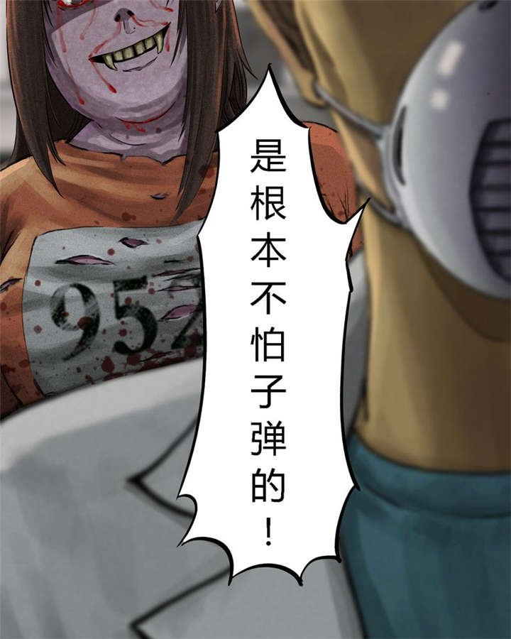第13章：大将军到此