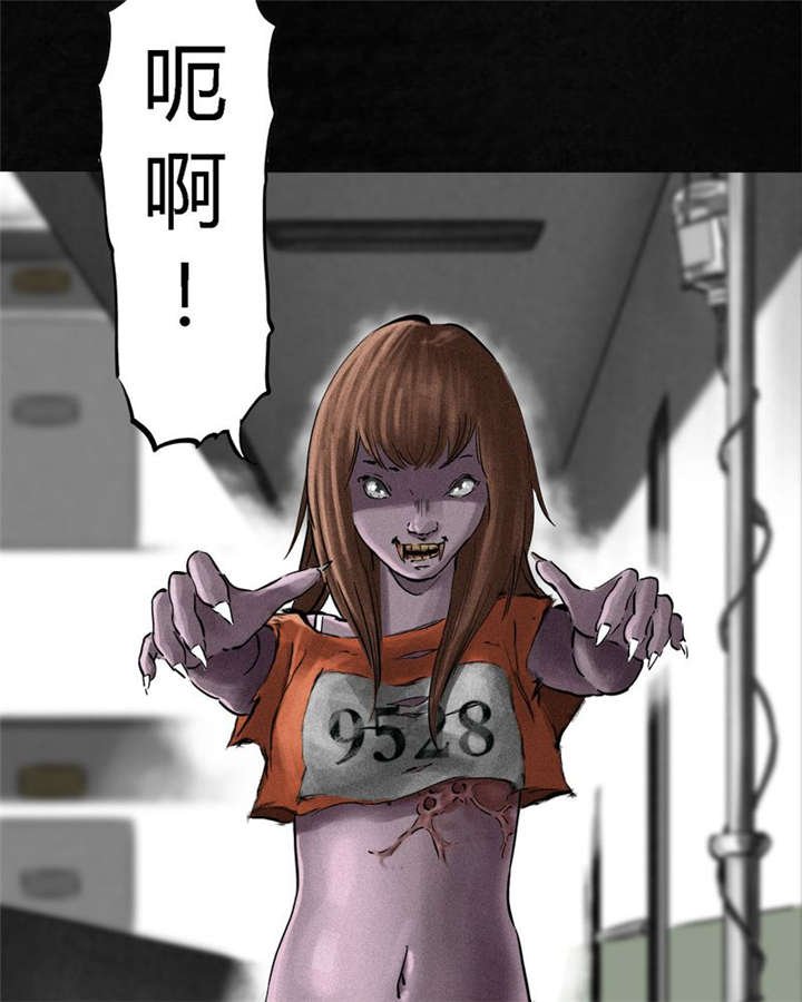第13章：大将军到此