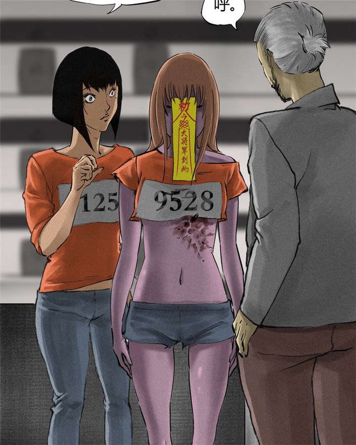 第13章：大将军到此