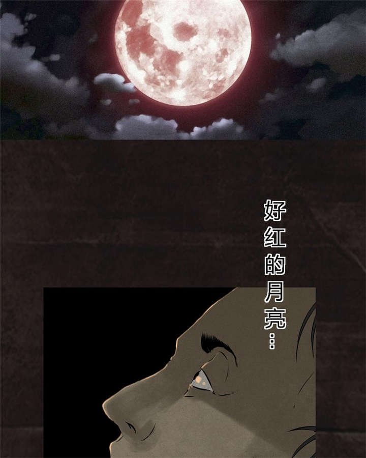 第25章：药丸